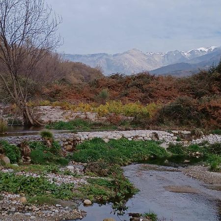 Вилла Casa Rural: La Casa Magica De Gredos Мадригаль-де-ла-Вера Экстерьер фото