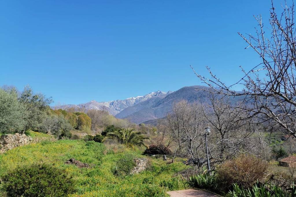 Вилла Casa Rural: La Casa Magica De Gredos Мадригаль-де-ла-Вера Экстерьер фото