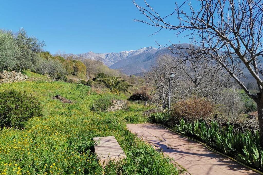 Вилла Casa Rural: La Casa Magica De Gredos Мадригаль-де-ла-Вера Экстерьер фото