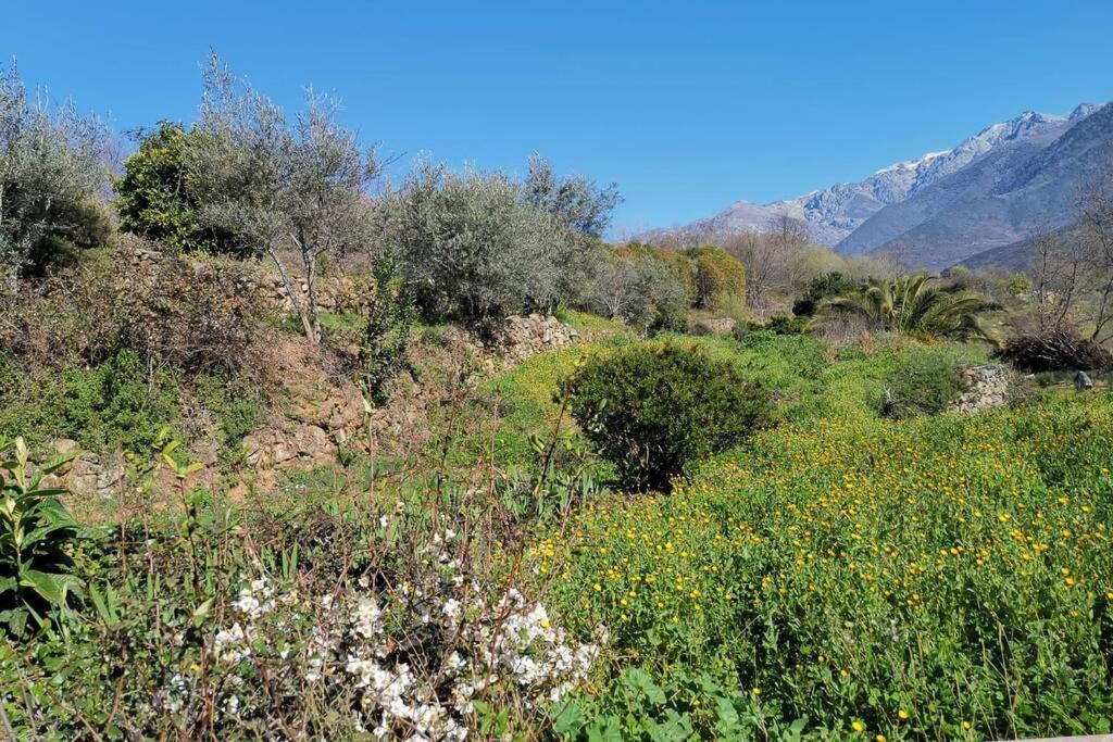 Вилла Casa Rural: La Casa Magica De Gredos Мадригаль-де-ла-Вера Экстерьер фото