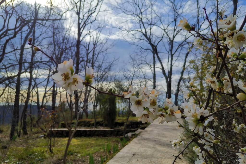 Вилла Casa Rural: La Casa Magica De Gredos Мадригаль-де-ла-Вера Экстерьер фото