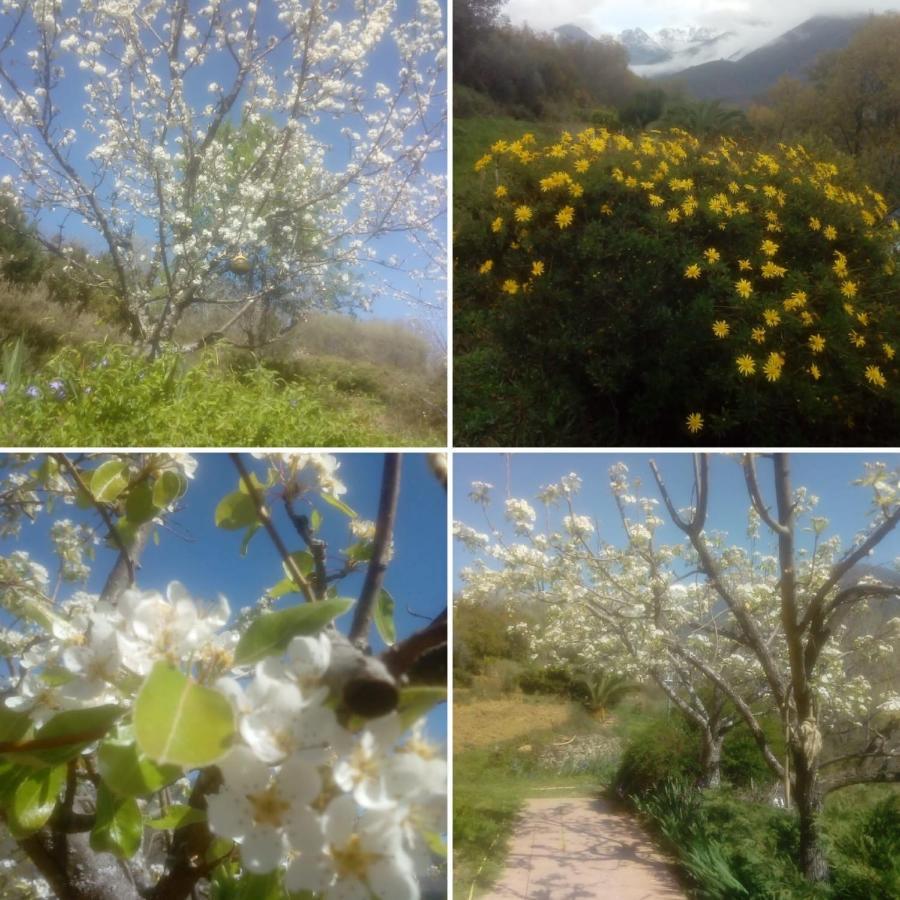 Вилла Casa Rural: La Casa Magica De Gredos Мадригаль-де-ла-Вера Экстерьер фото