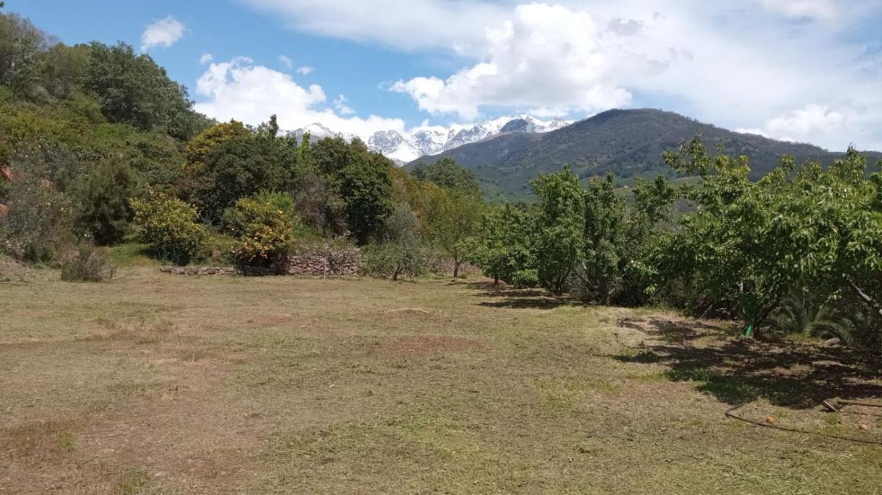 Вилла Casa Rural: La Casa Magica De Gredos Мадригаль-де-ла-Вера Экстерьер фото