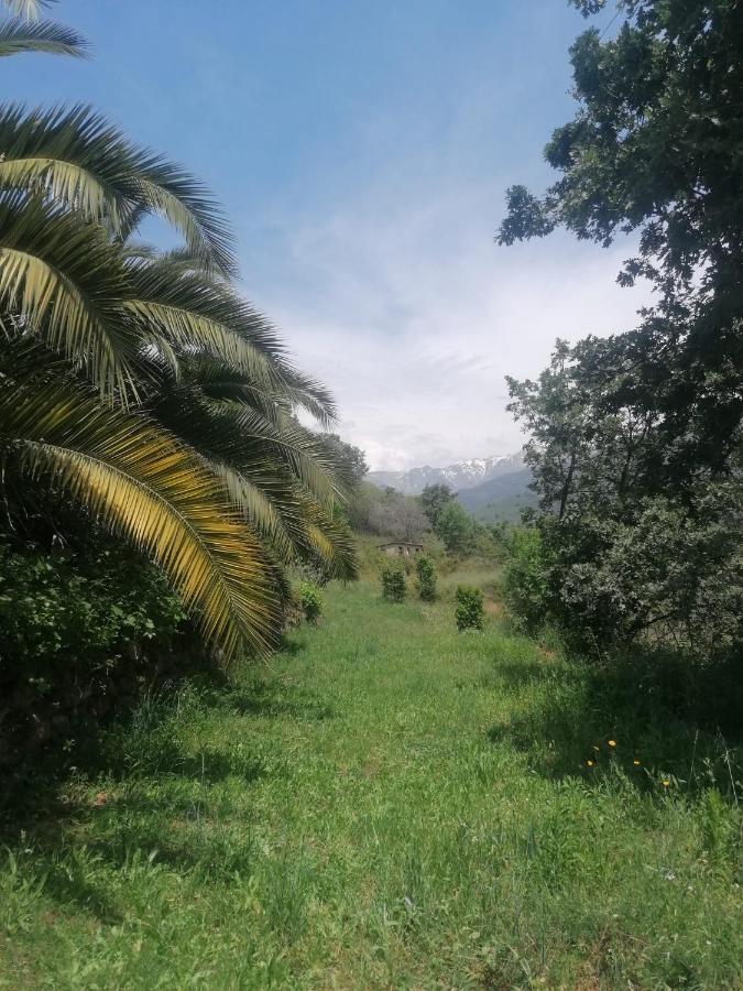 Вилла Casa Rural: La Casa Magica De Gredos Мадригаль-де-ла-Вера Экстерьер фото